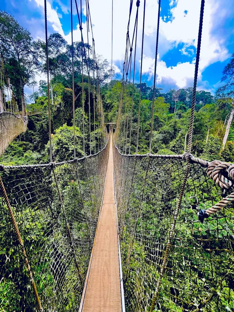 Kakum National Park
