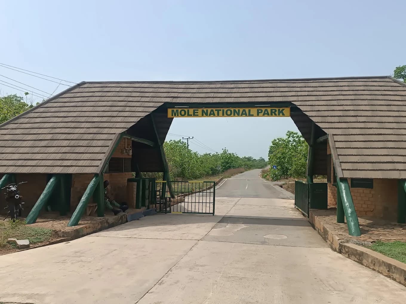 Mole National Park